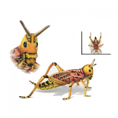 Locust Grasshopper Plush Soft Toy Insect by Hansa